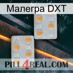 Малегра DXT 25